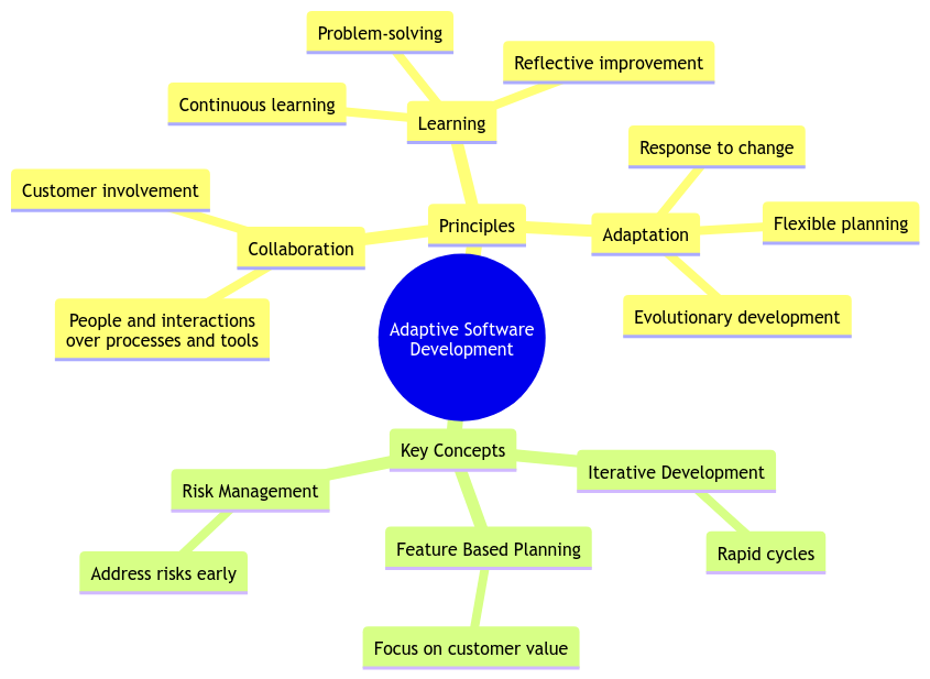 Adapting to Change: The Principles of Adaptive Software Development