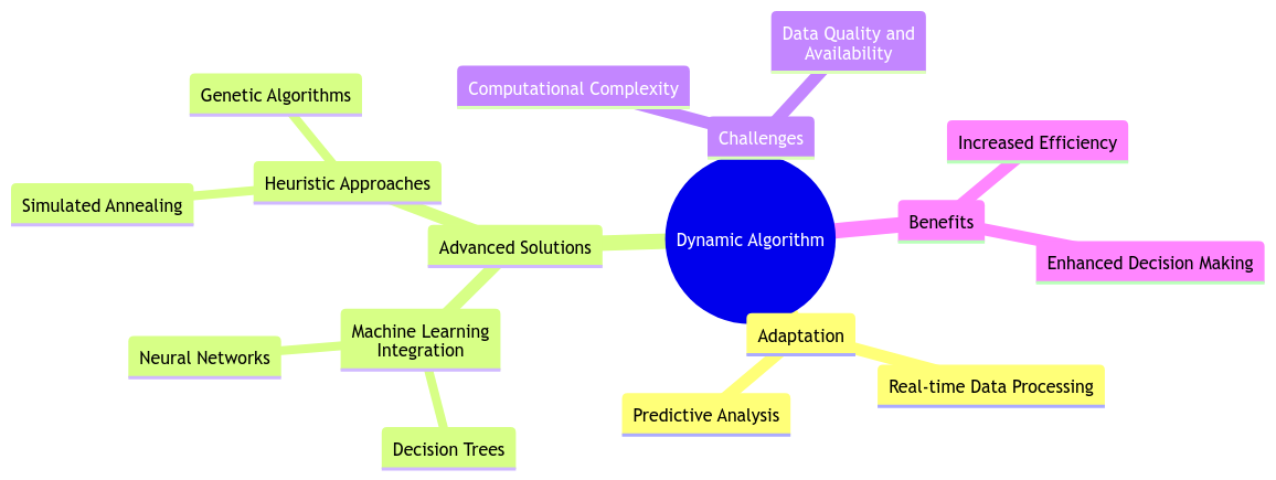 Dynamic Algorithm: Adapting to Change with Advanced Solutions
